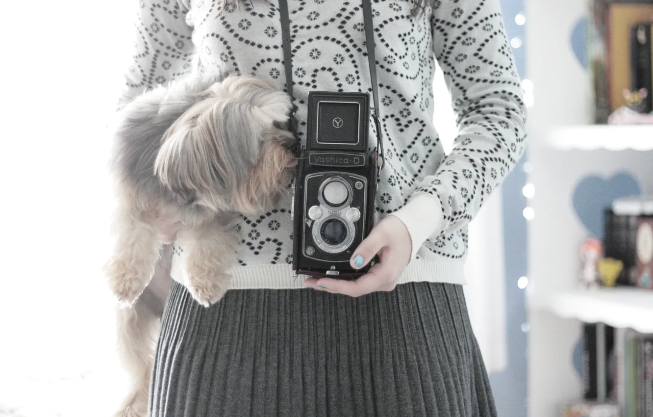 Фото обои девушка, фон, обои, настроения, собака, фотоаппарат, собачка, wallpapers