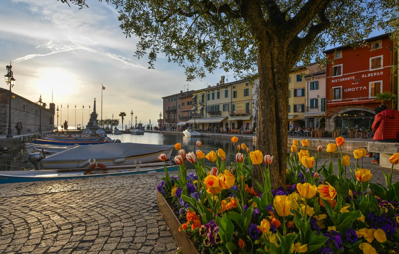 Фото обои цветы, озеро, дерево, здания, дома, бухта, лодки, порт