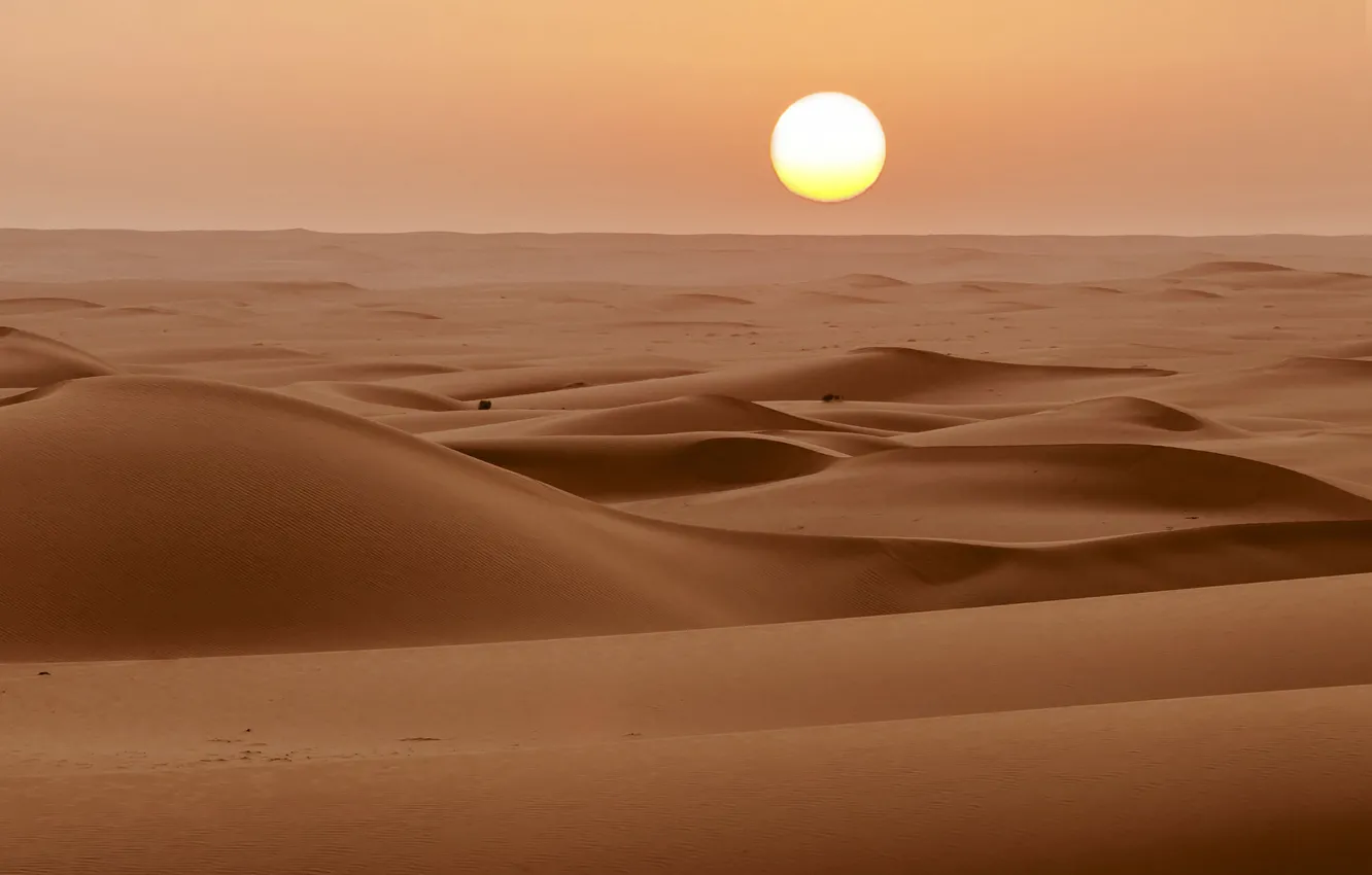 Фото обои песок, солнце, пустыня, горизонт