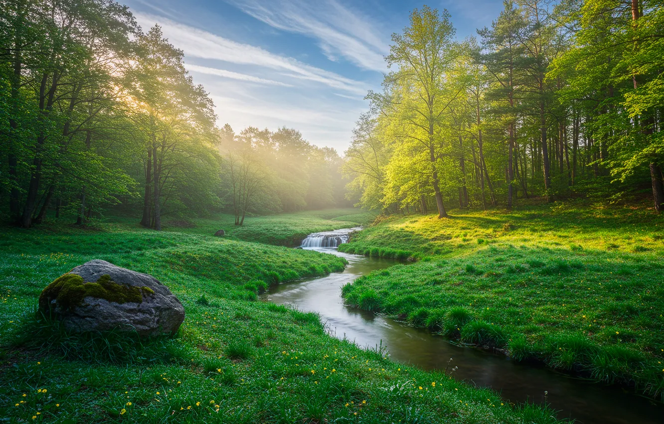 Фото обои лес, небо, трава, облака, ручей, весна, grass, forest