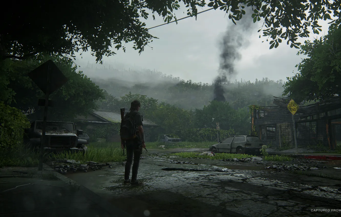 Фото обои деревья, машины, игра, дым, game, action, The Last of Us, adventure