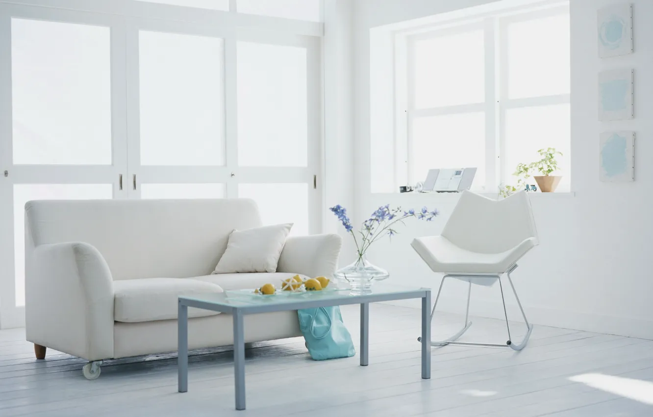 Фото обои белый, цветы, дизайн, стиль, комната, диван, интерьер, растения