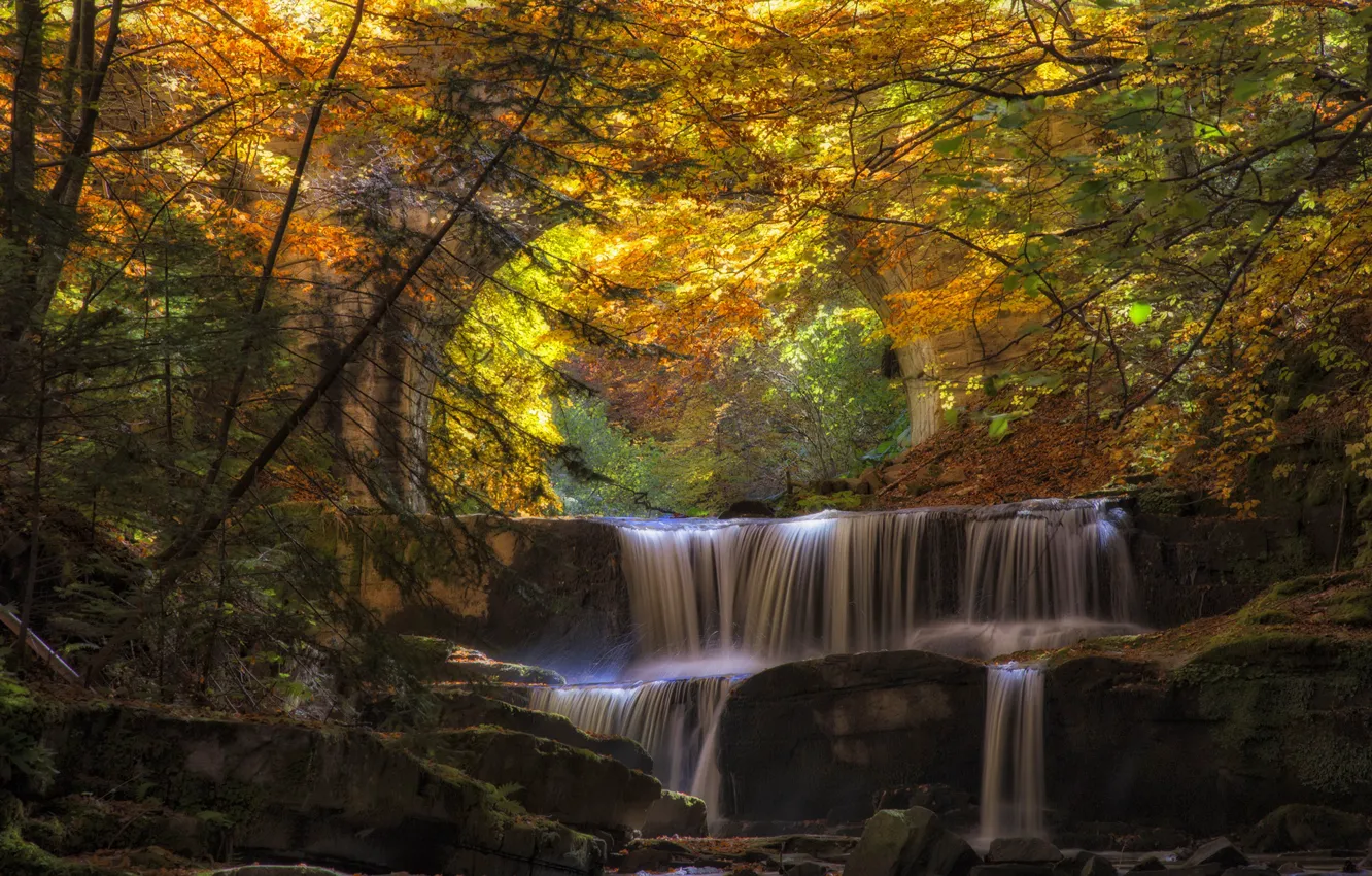 Фото обои осень, лес, листья, вода, мост, река, каскад