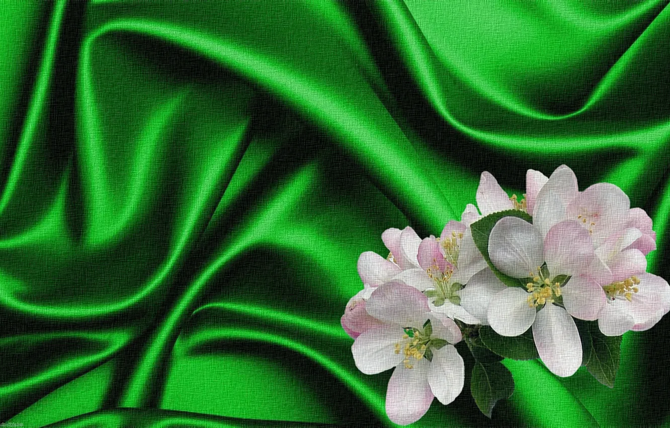 Фото обои рендеринг, фон, коллаж, рисунок, картинка, холст, яблоневый цвет, зеленый шелк