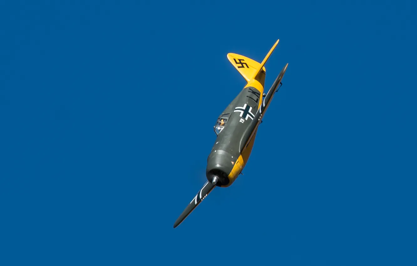 Фото обои небо, полет, Thunderbolt, P-47