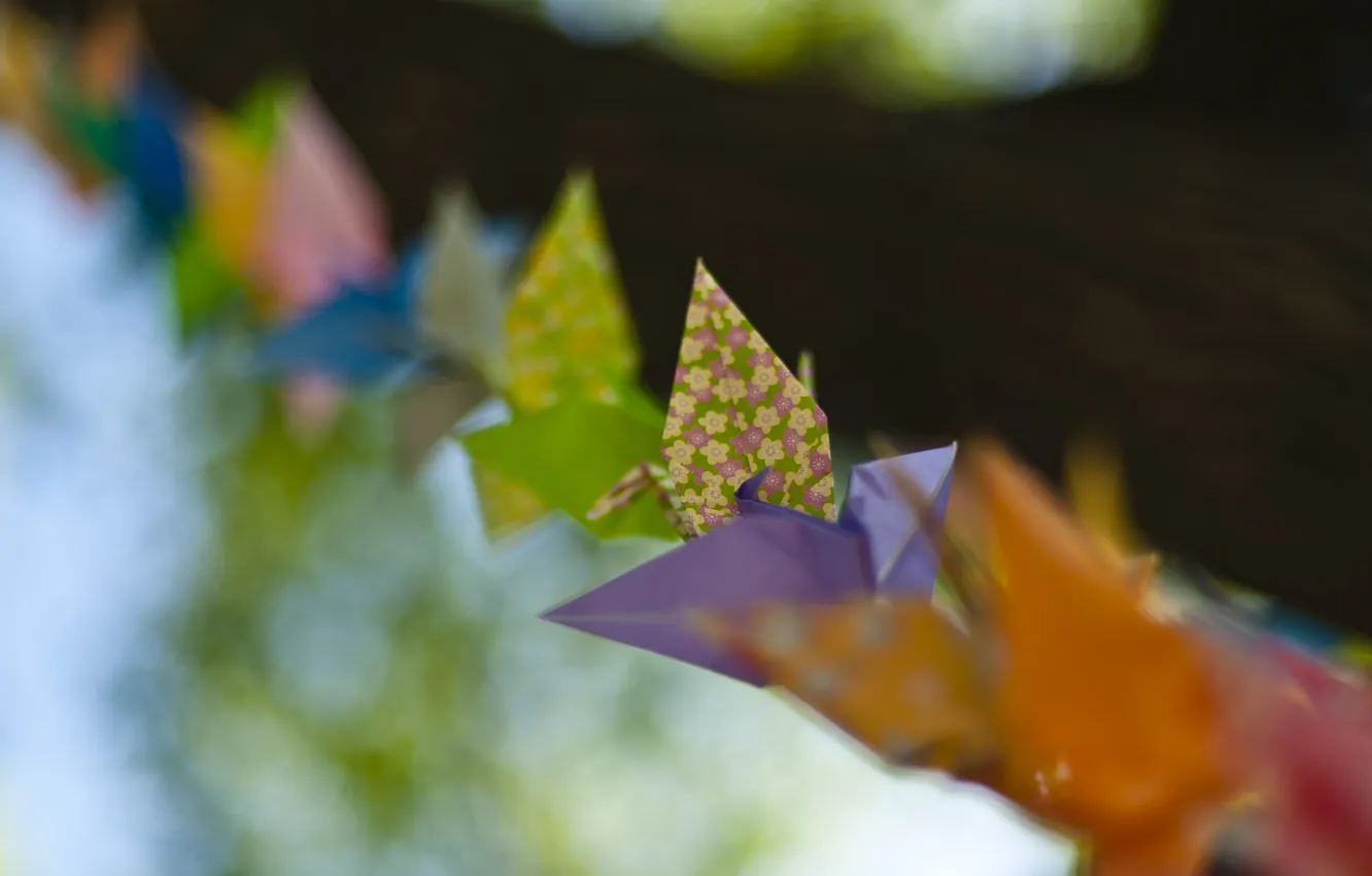 Фото обои макро, бумага, узор, цвет, птички, оригами
