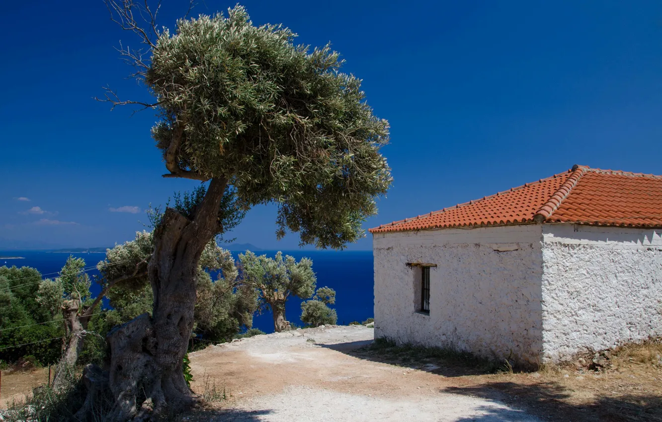 Фото обои море, дом, дерево, Греция