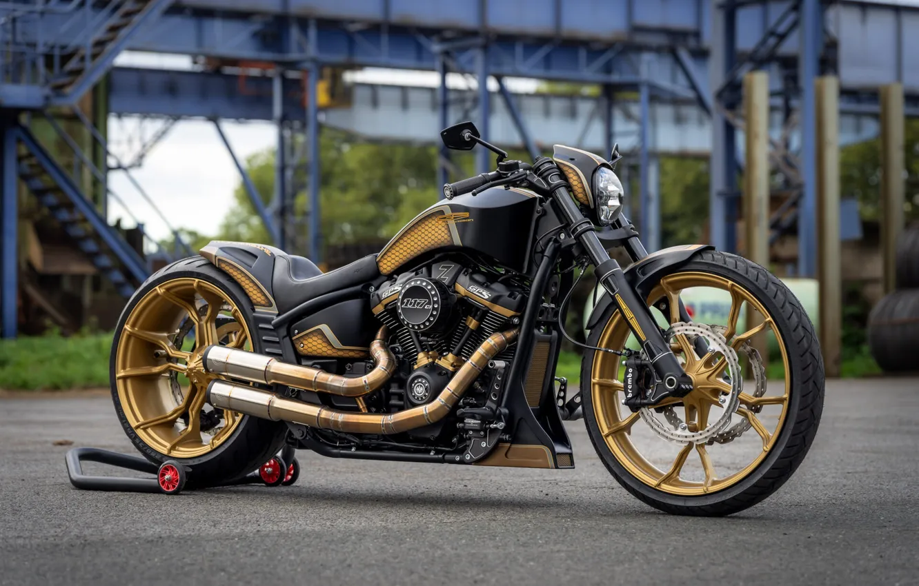 Фото обои Front, Harley-Davidson, Вид Сбоку, Customized, Softail Breakout, Thunderbike, Steel Horse, Custombikes