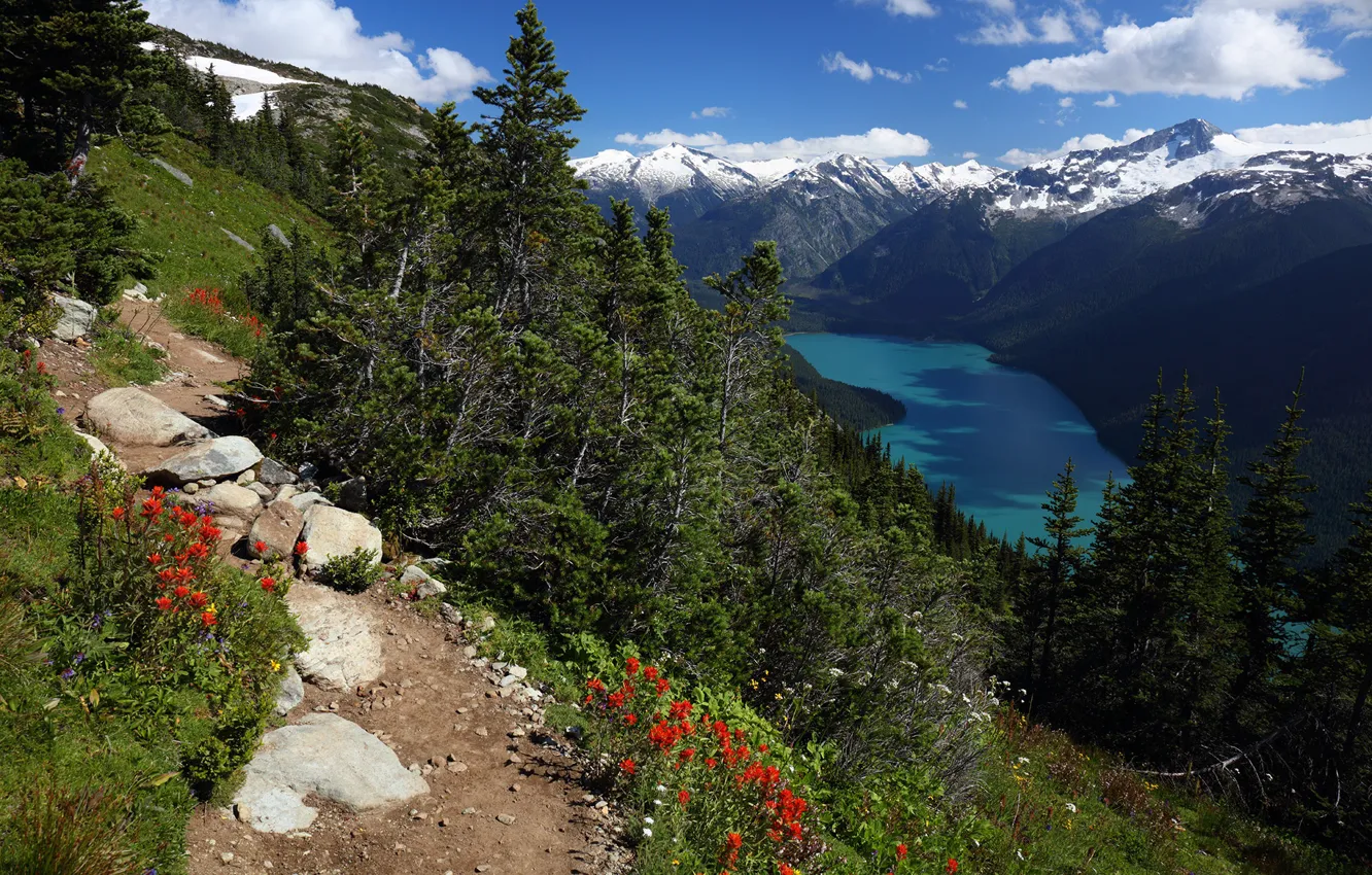 Фото обои лес, горы, озеро, Канада, Canada, British Columbia, тропинка, Coast Mountains