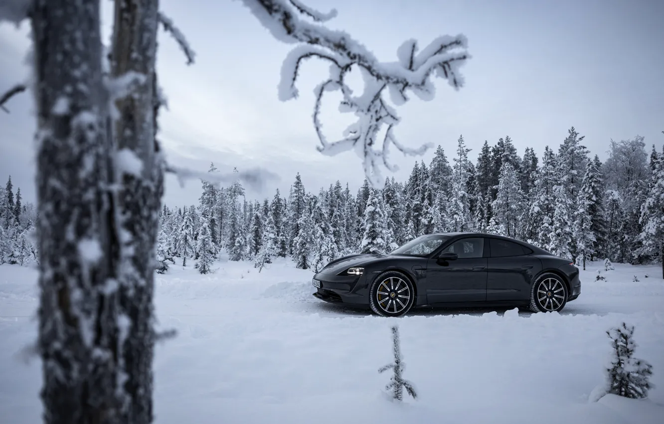 Фото обои дорога, снег, деревья, чёрный, ветви, Porsche, 2020, Taycan
