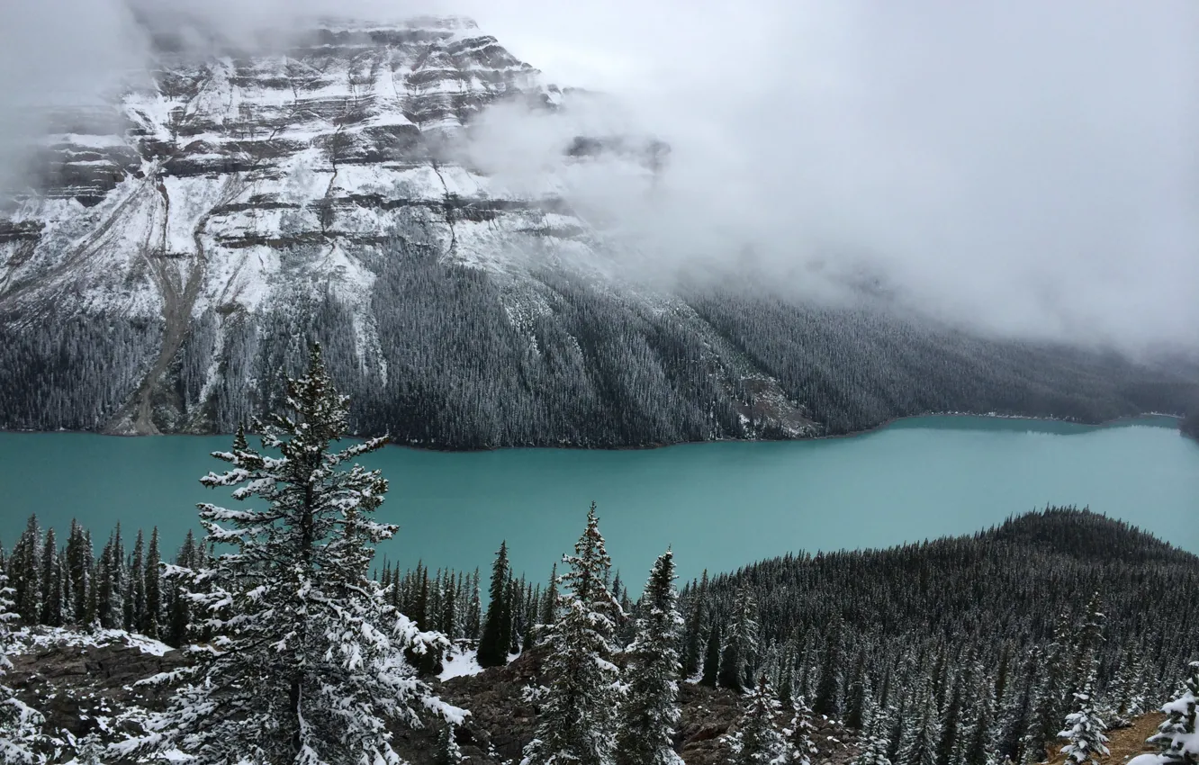 Фото обои зима, снег, деревья, горы, природа, туман, скалы, Канада