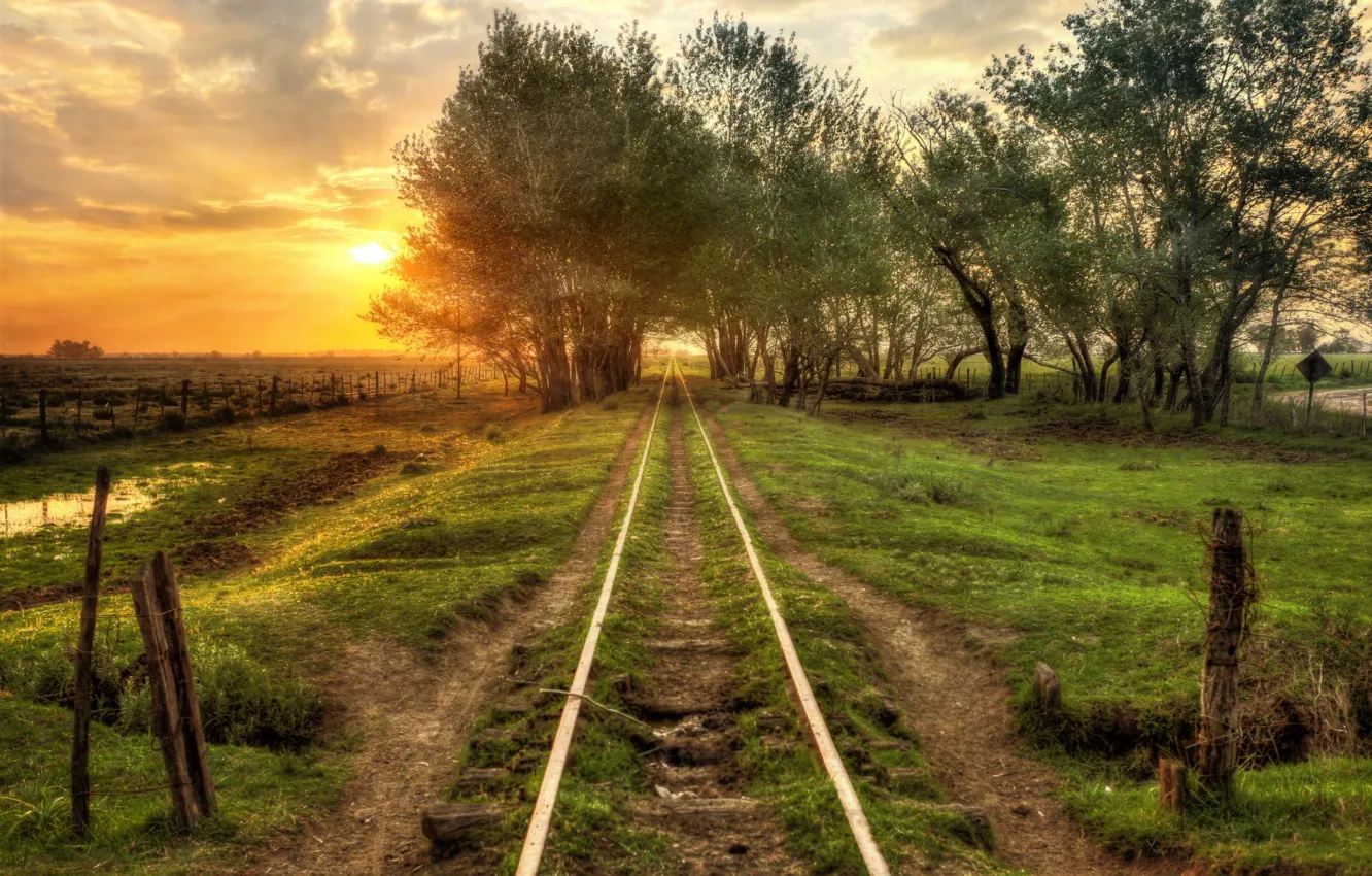 Фото обои поле, солнце, железная дорога, field, sun, Railway, railroad