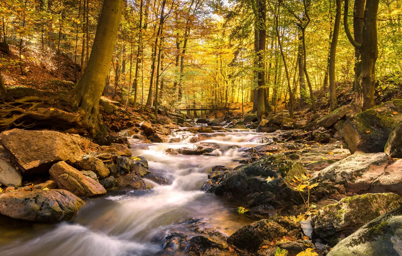 Фото обои осень, лес, вода, мост, река, камни, водопад, hdr