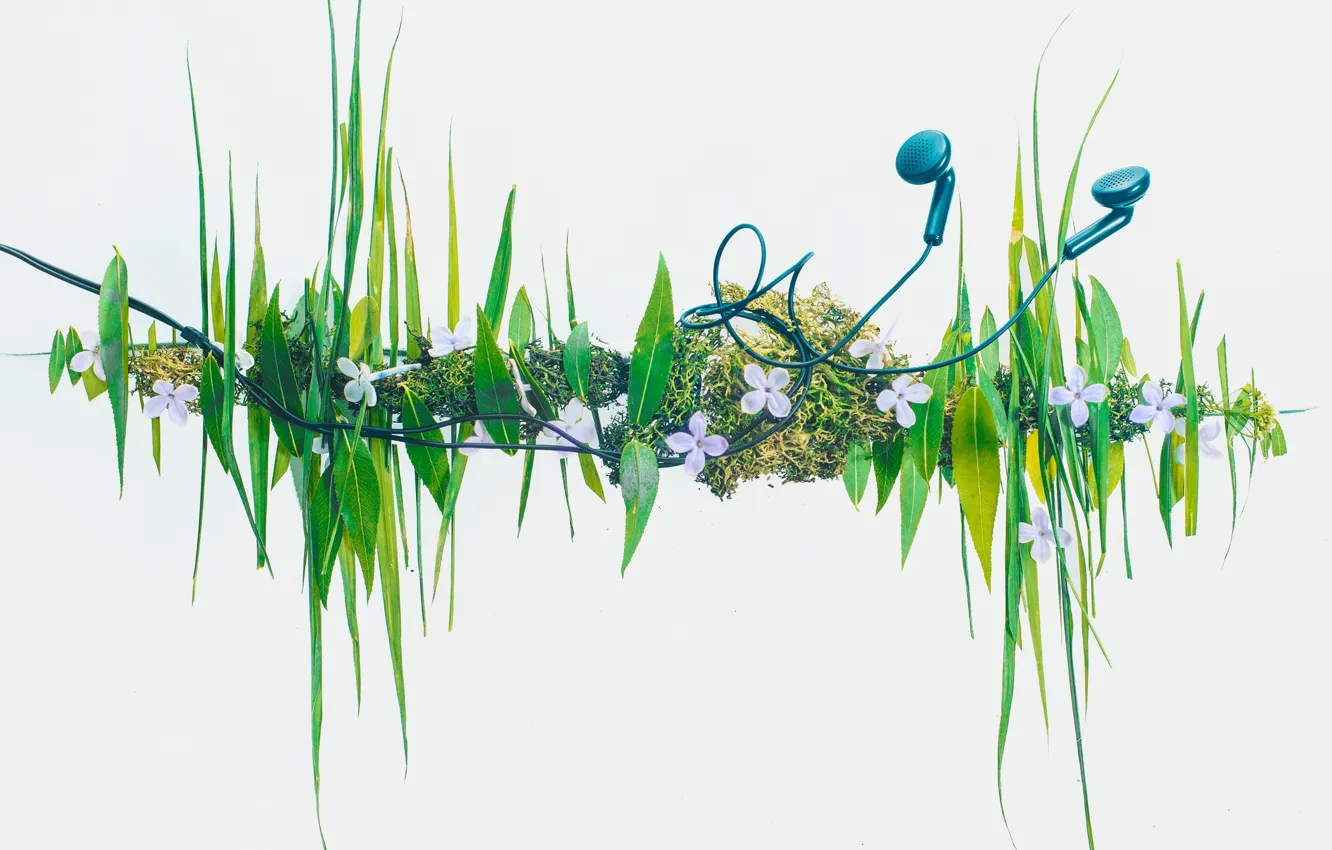 Фото обои трава, наушники, grass, headphones, Dina Belenko