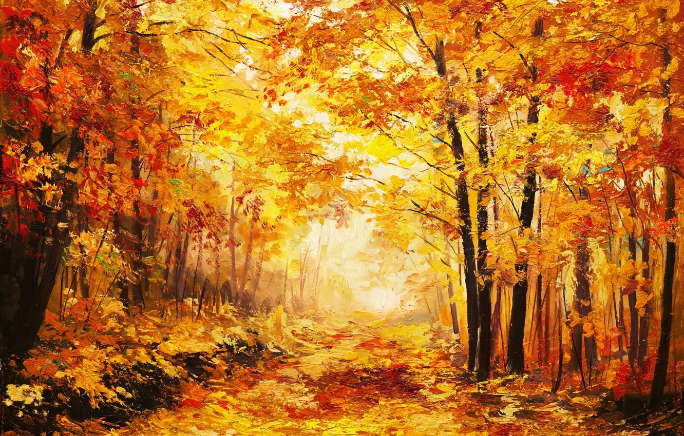 Фото обои осень, листья, деревья, окрас, время года