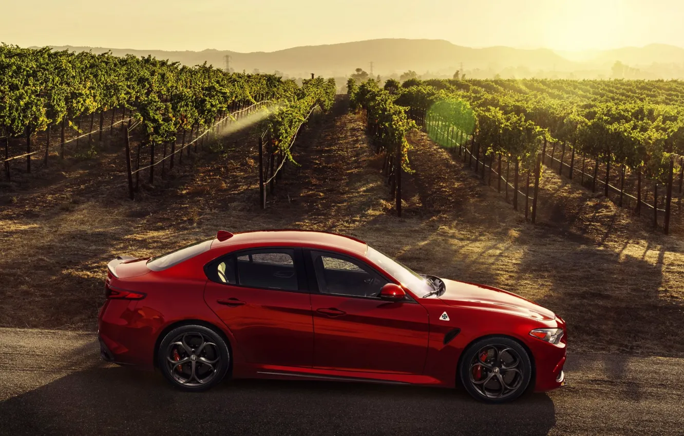 Фото обои Alfa Romeo, Quadrifoglio, red car, Giulia, 2017