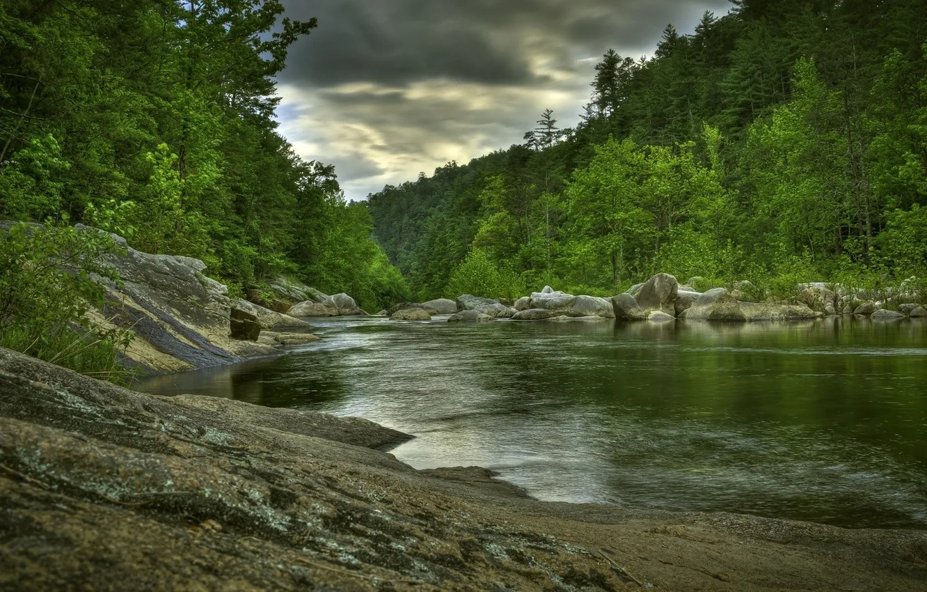 Фото обои лес, природа, река, камни