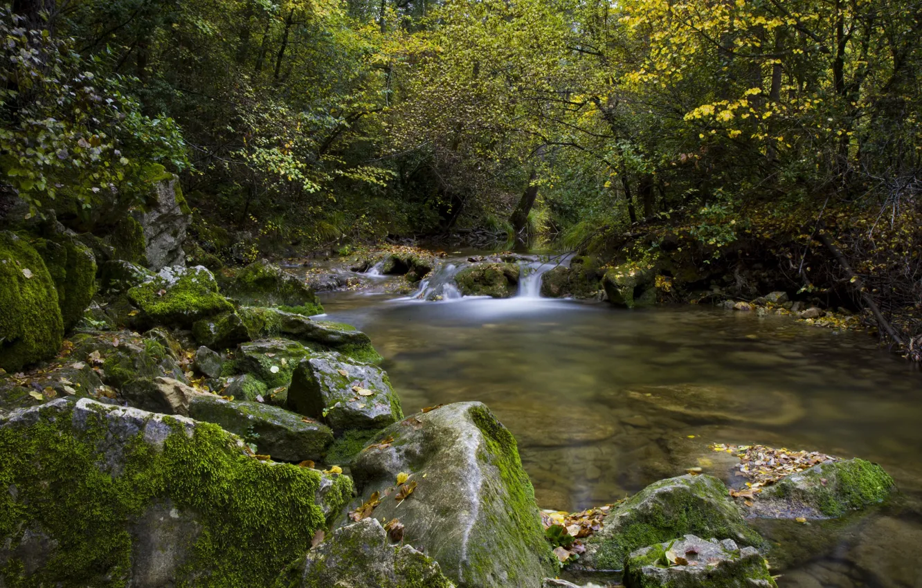 Фото обои осень, лес, деревья, река, камни, Франция, France, Турв
