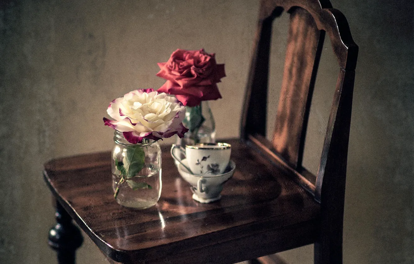 Фото обои цветы, розы, лепестки, натюрморты