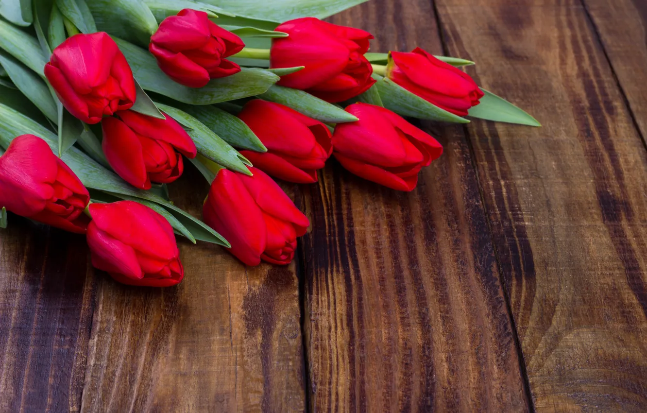 Фото обои цветы, букет, тюльпаны, красные, red, fresh, wood, flowers