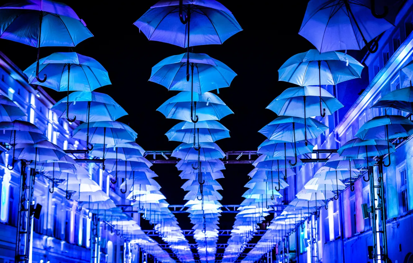 Фото обои улица, зонты, umbrella, blue, street, decoration, декорация, decor