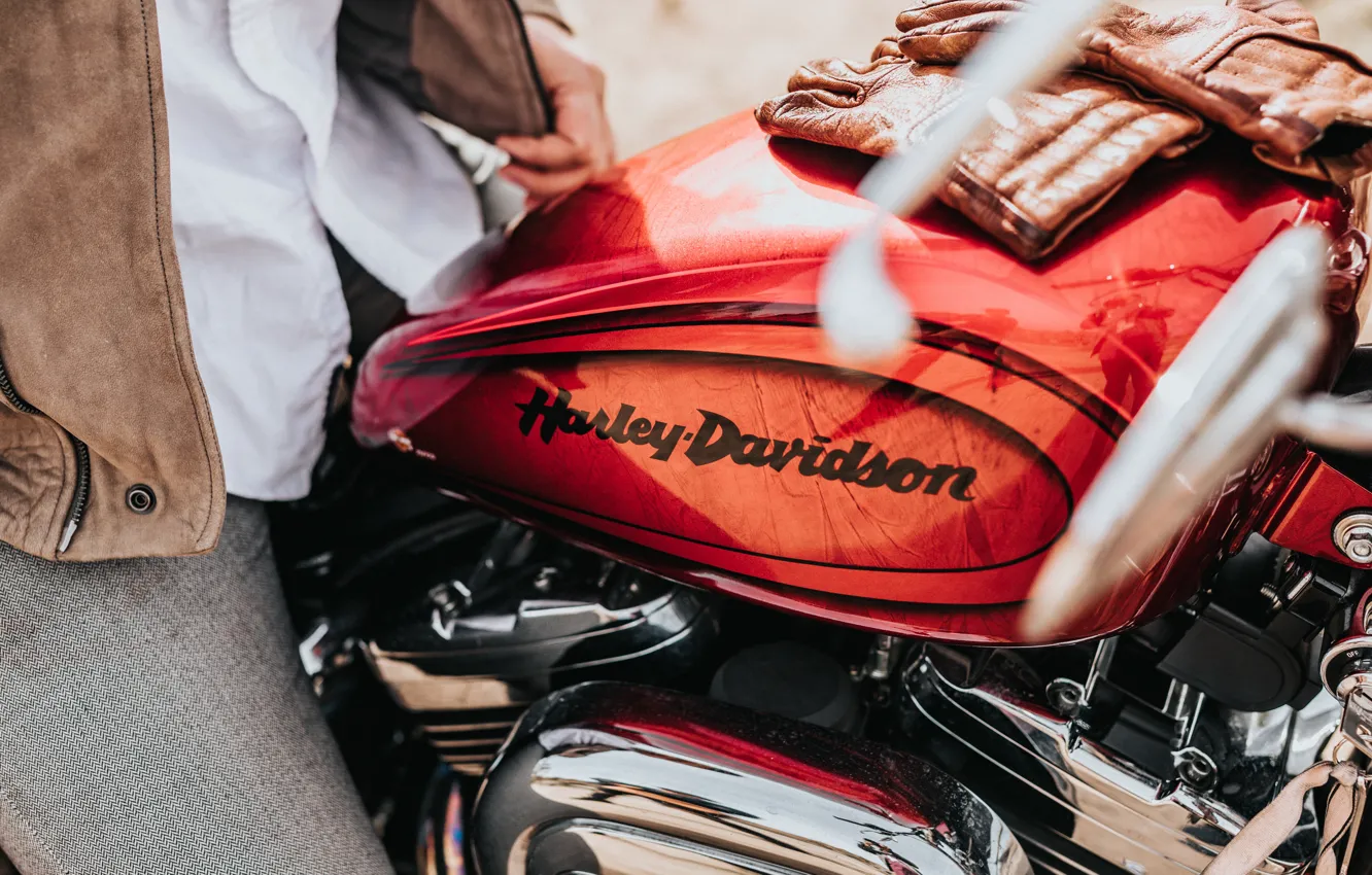 Фото обои мотоцикл, перчатки, motorcycle, Tank, davidson, Бак, gloves, hyler