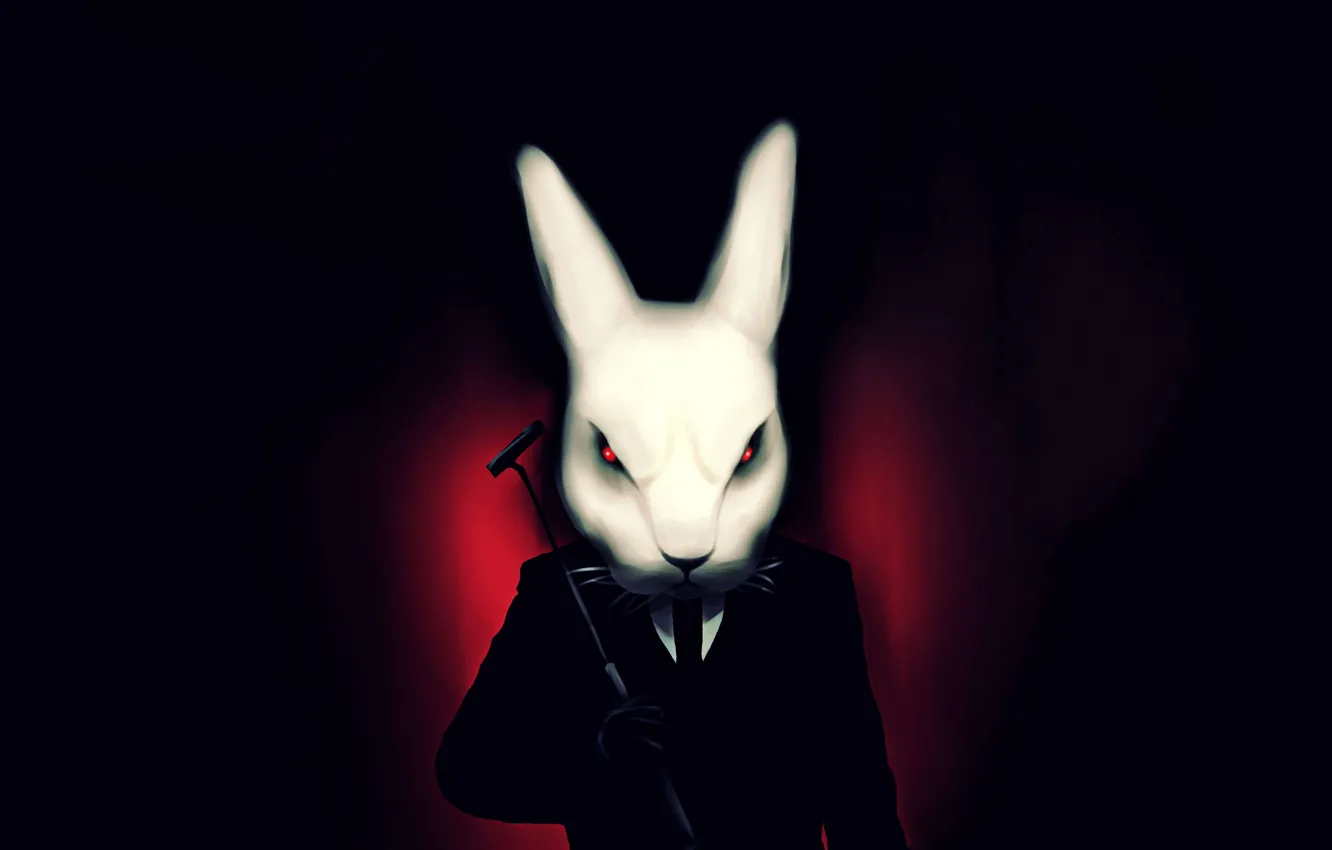 Фото обои Rabbit, Bunny, bad rabbit, bad bunny, mean rabbit