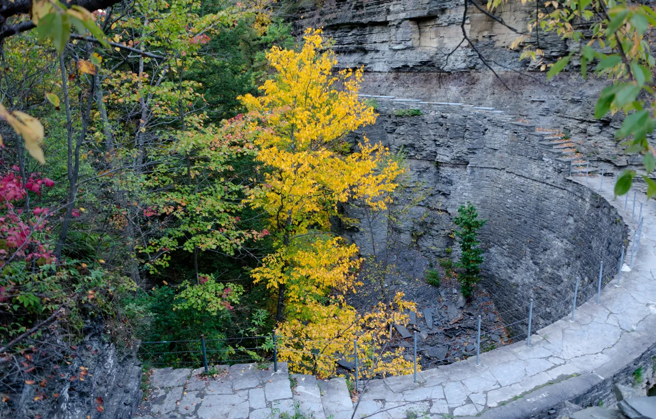 Фото обои Осень, Скалы, USA, США, Fall, Autumn, Colors, Итака