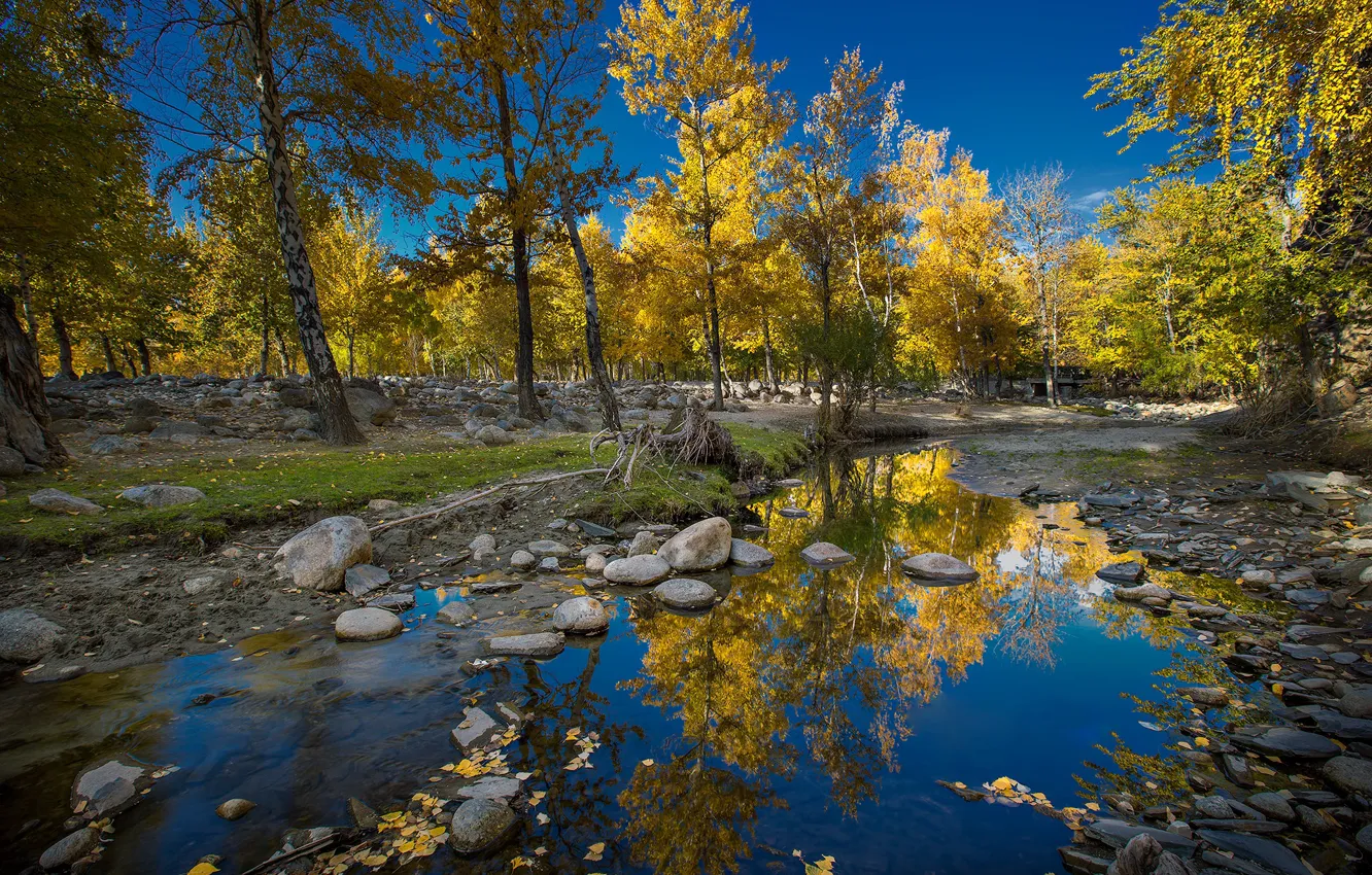Фото обои осень, небо, деревья, ручей, камни