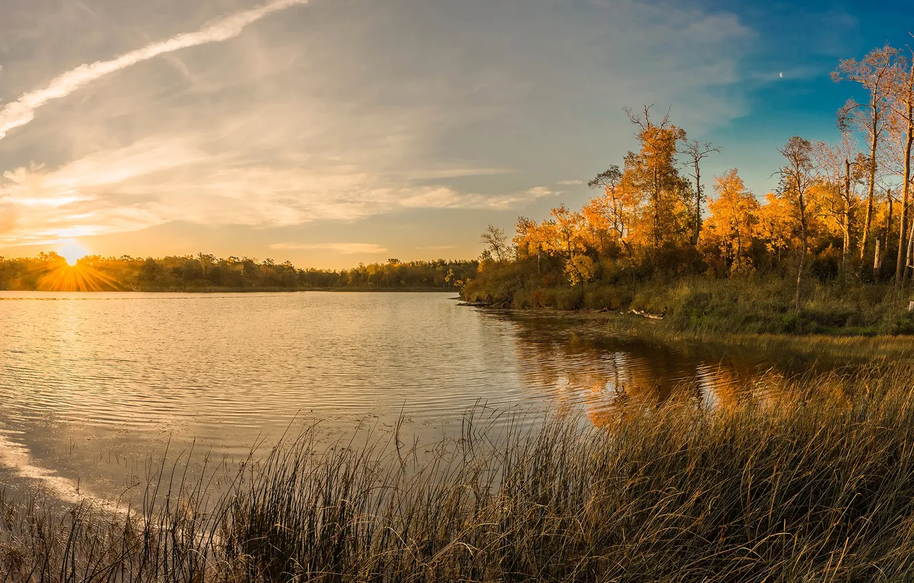 берег реки осень