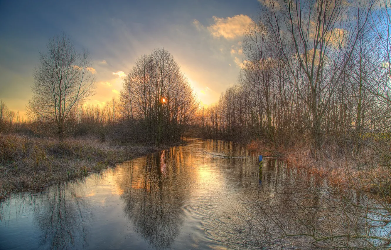 Фото обои вода, деревья, отражение, река, рябь, Весна, Wümmeniederung, Wümme