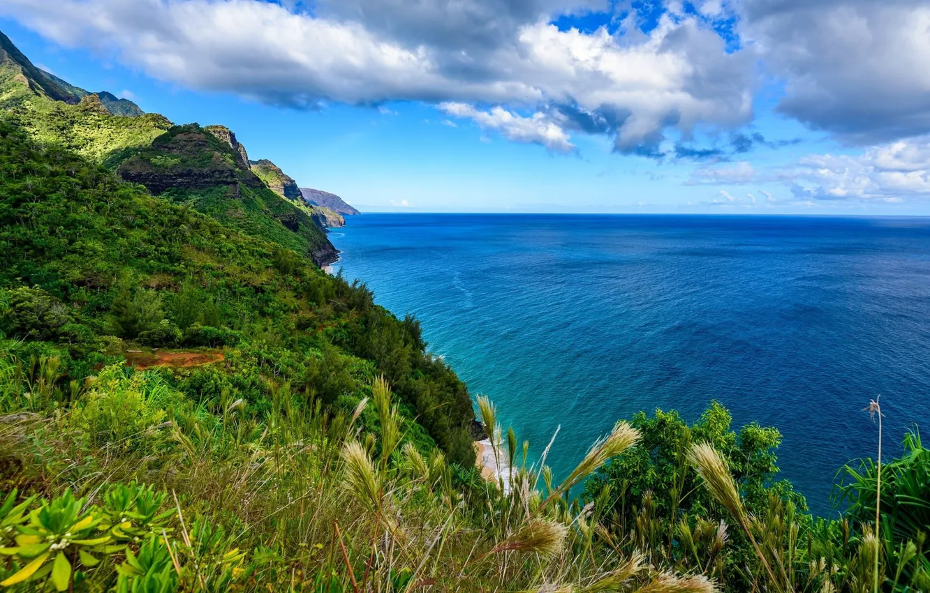 Фото обои вода, природа, скалы