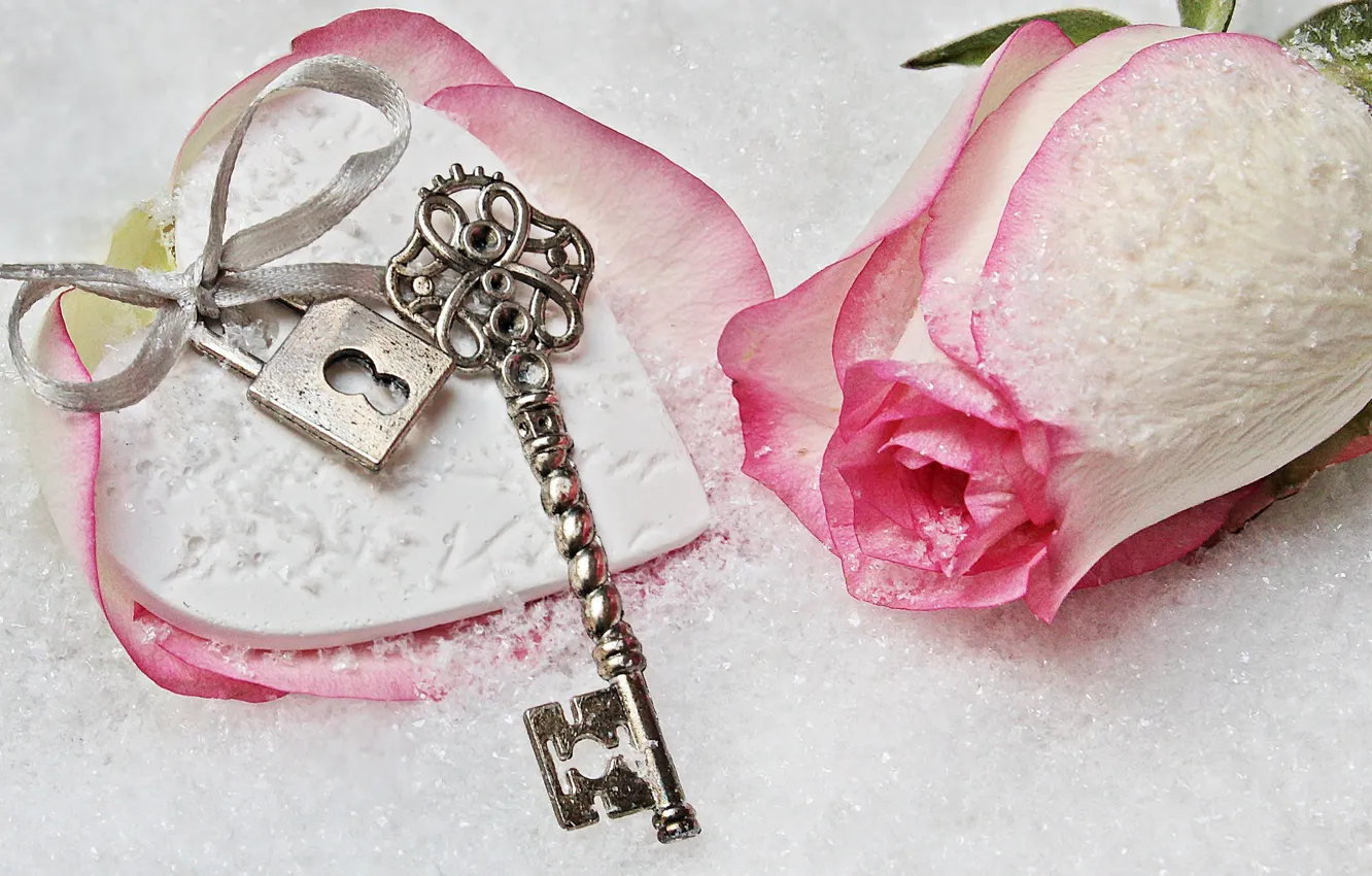 Фото обои love, rose, heart, winter, snow, key, romantic, lock