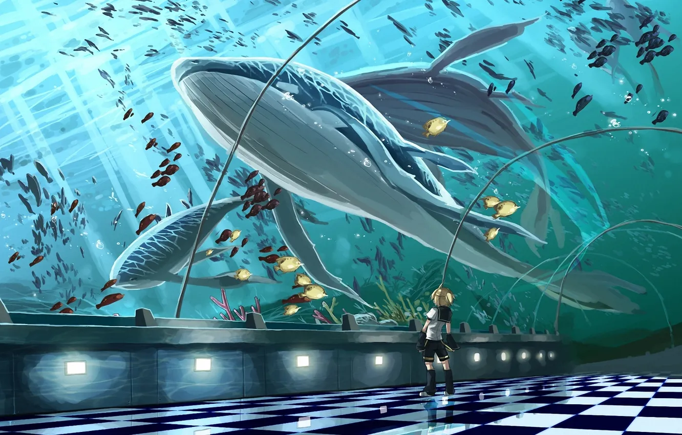 Фото обои рыбы, арт, парень, vocaloid, киты, kagamine len, scorpion5050, океанариум