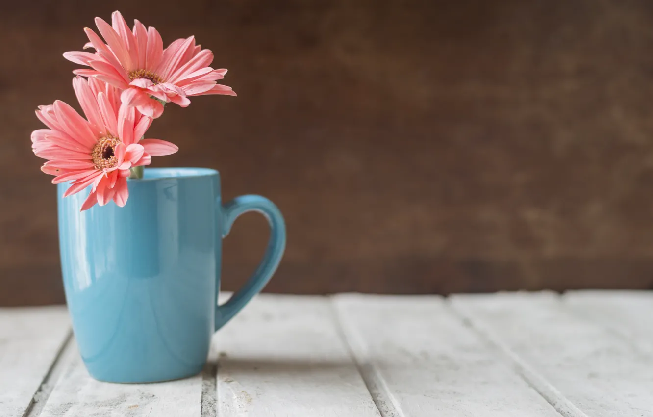Фото обои цветы, чашка, герберы, деревянный стол, голубая чашка