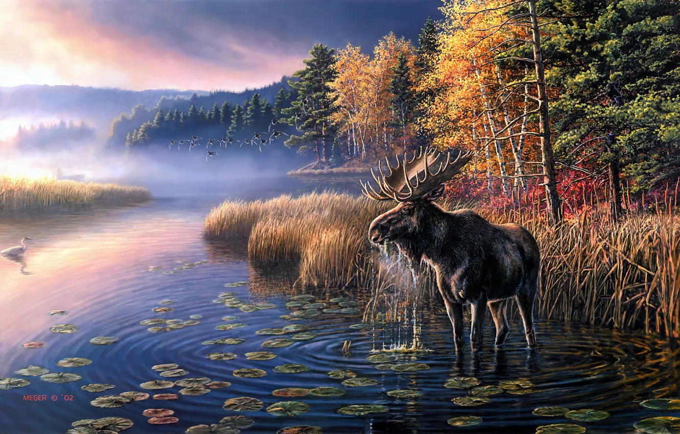 Фото обои осень, лес, небо, листья, деревья, птицы, туман, озеро
