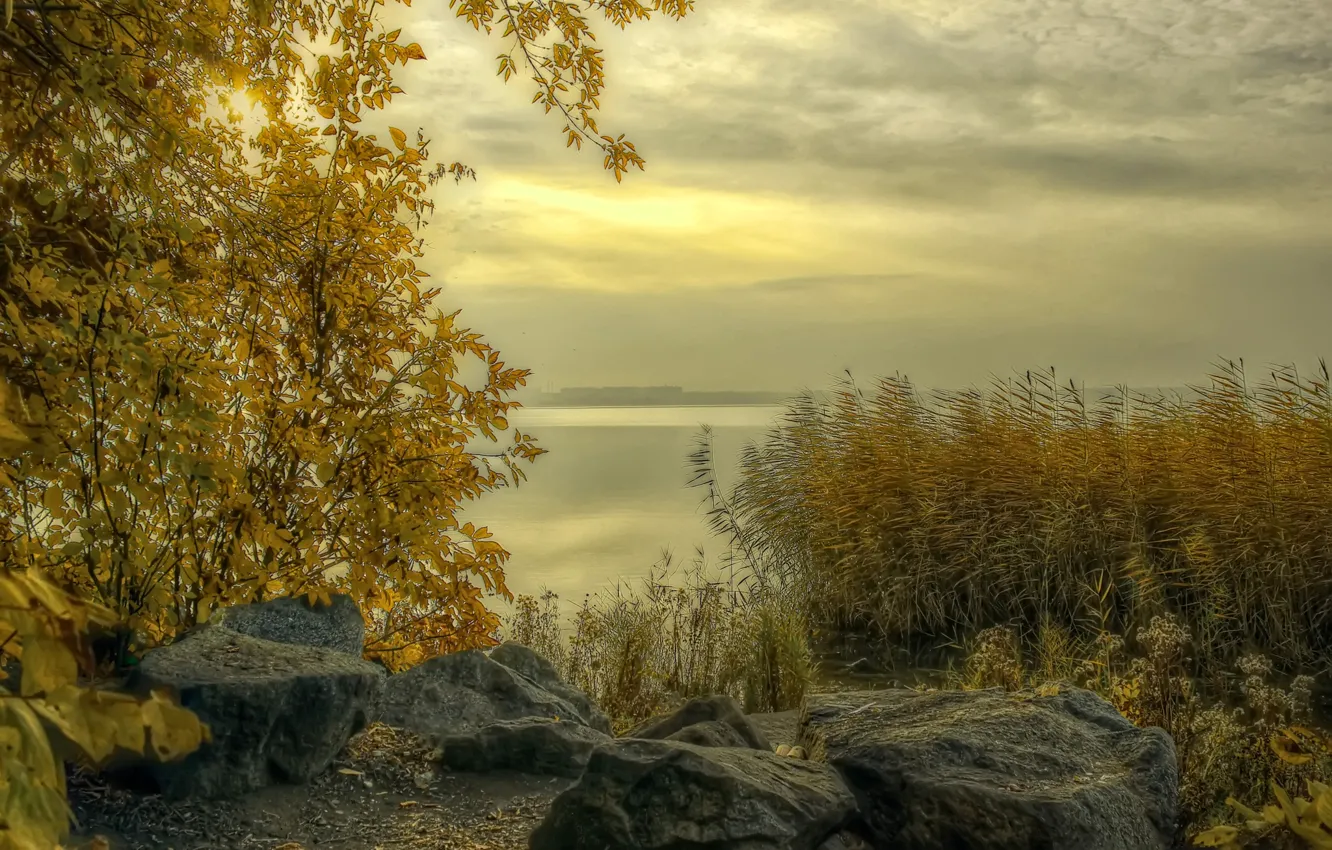 Фото обои осень, трава, тучи, туман, река, камни, берег, Россия