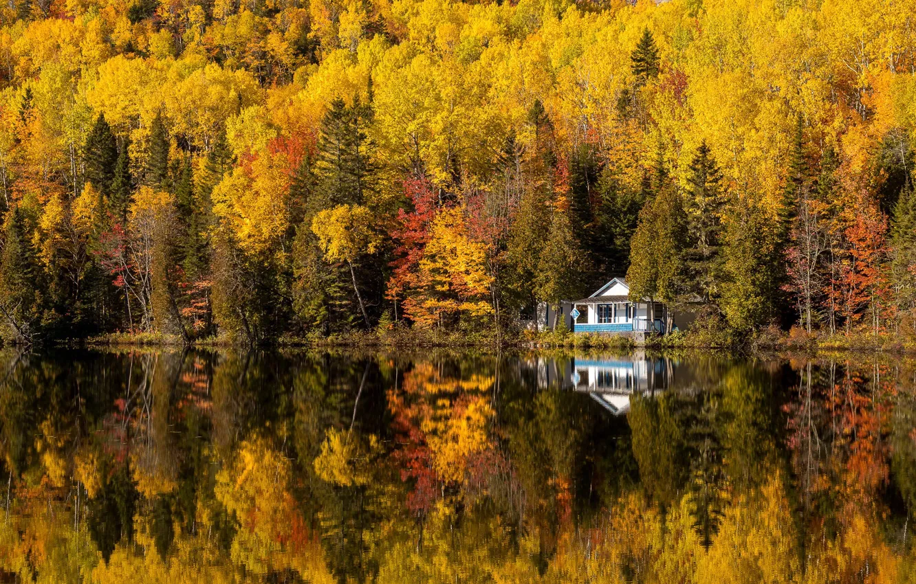 Фото обои осень, Canada, Quebec, Saint-Siméon