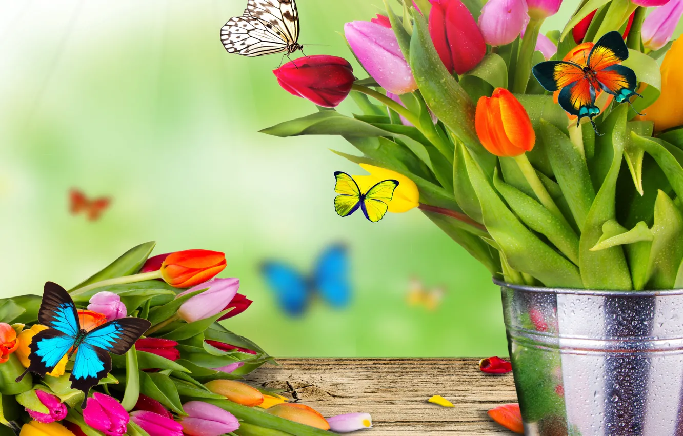 Фото обои цветы, коллаж, бабочка, букет, весна, ведро, тюльпаны, мотылек