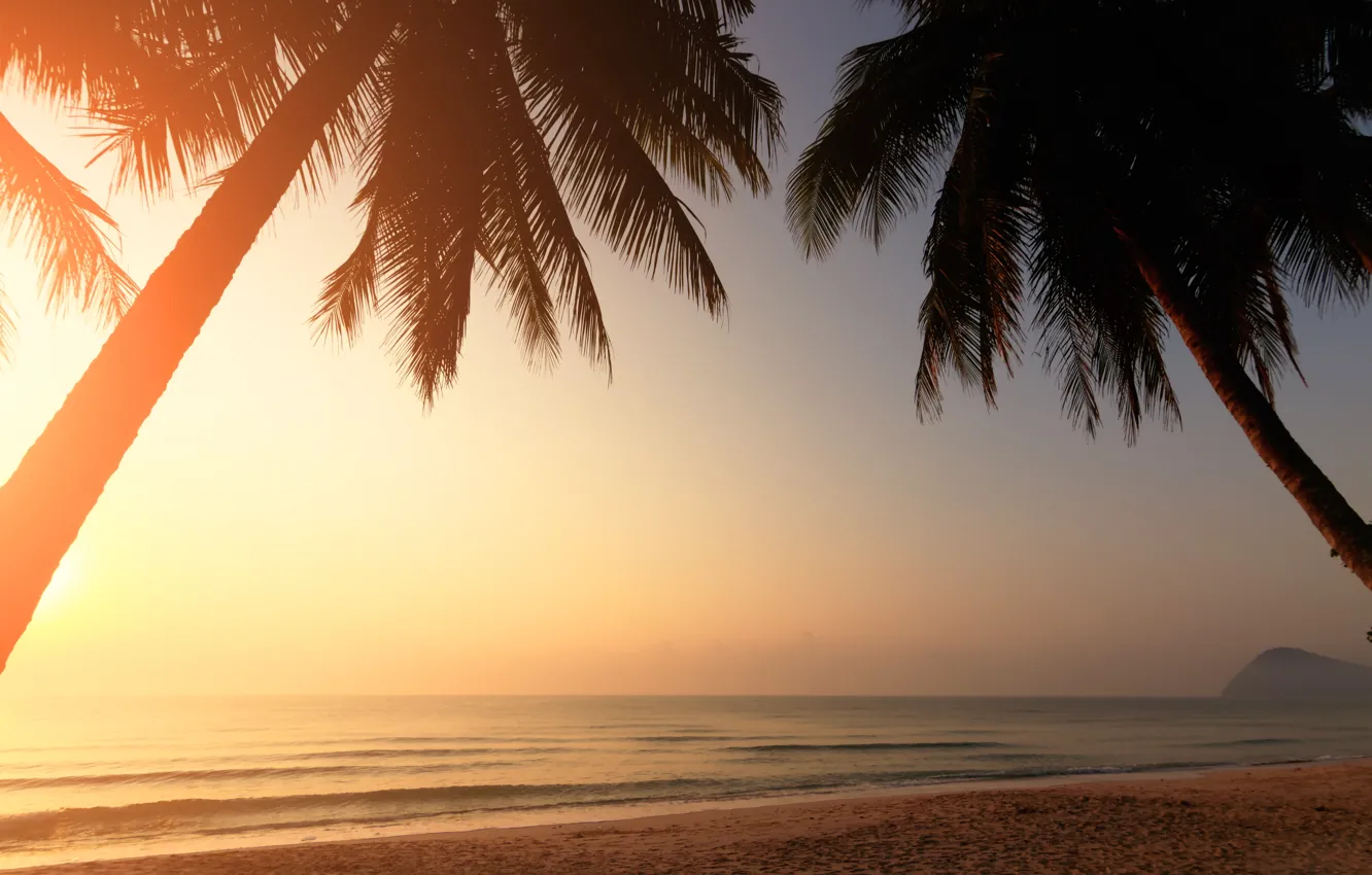 Фото обои песок, море, волны, пляж, лето, закат, пальмы, берег