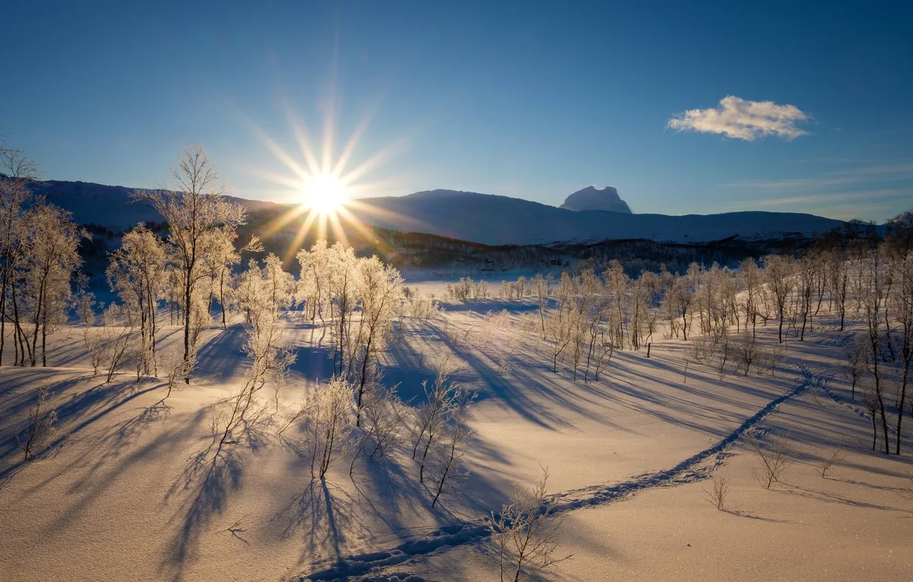Фото обои зима, лес, небо, солнце, лучи, снег, деревья, горы