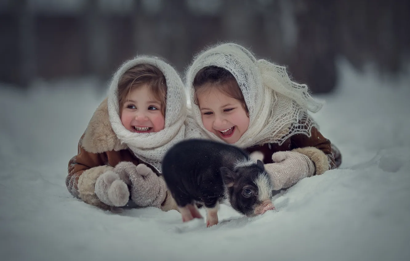 Фото обои зима, снег, радость, дети, настроение, девочки, смех, поросёнок