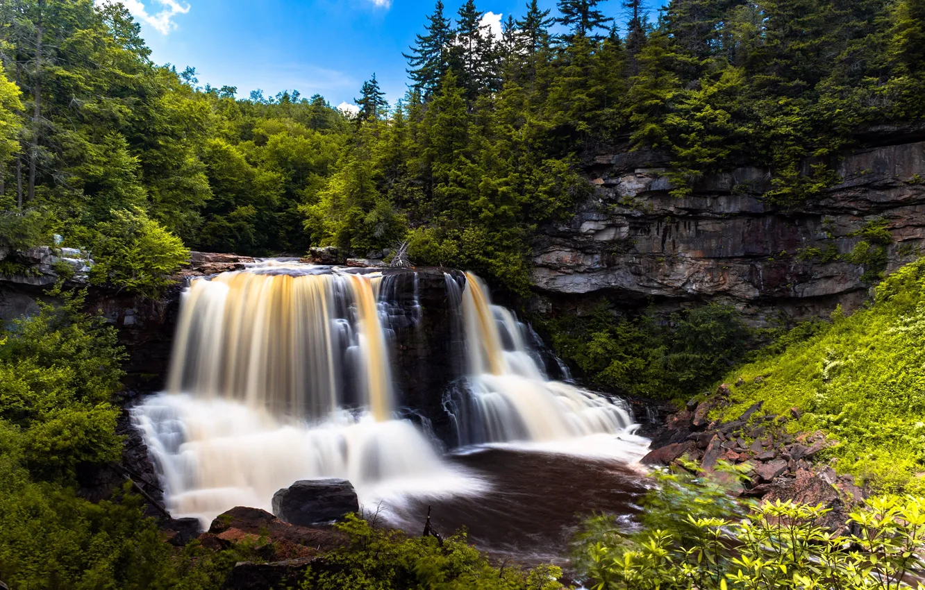 Фото обои лес, деревья, камни, скалы, водопад, США, West Virginia