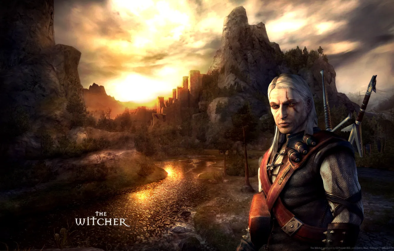 Фото обои Шрамы, Мечи, Ведьмак, The Witcher