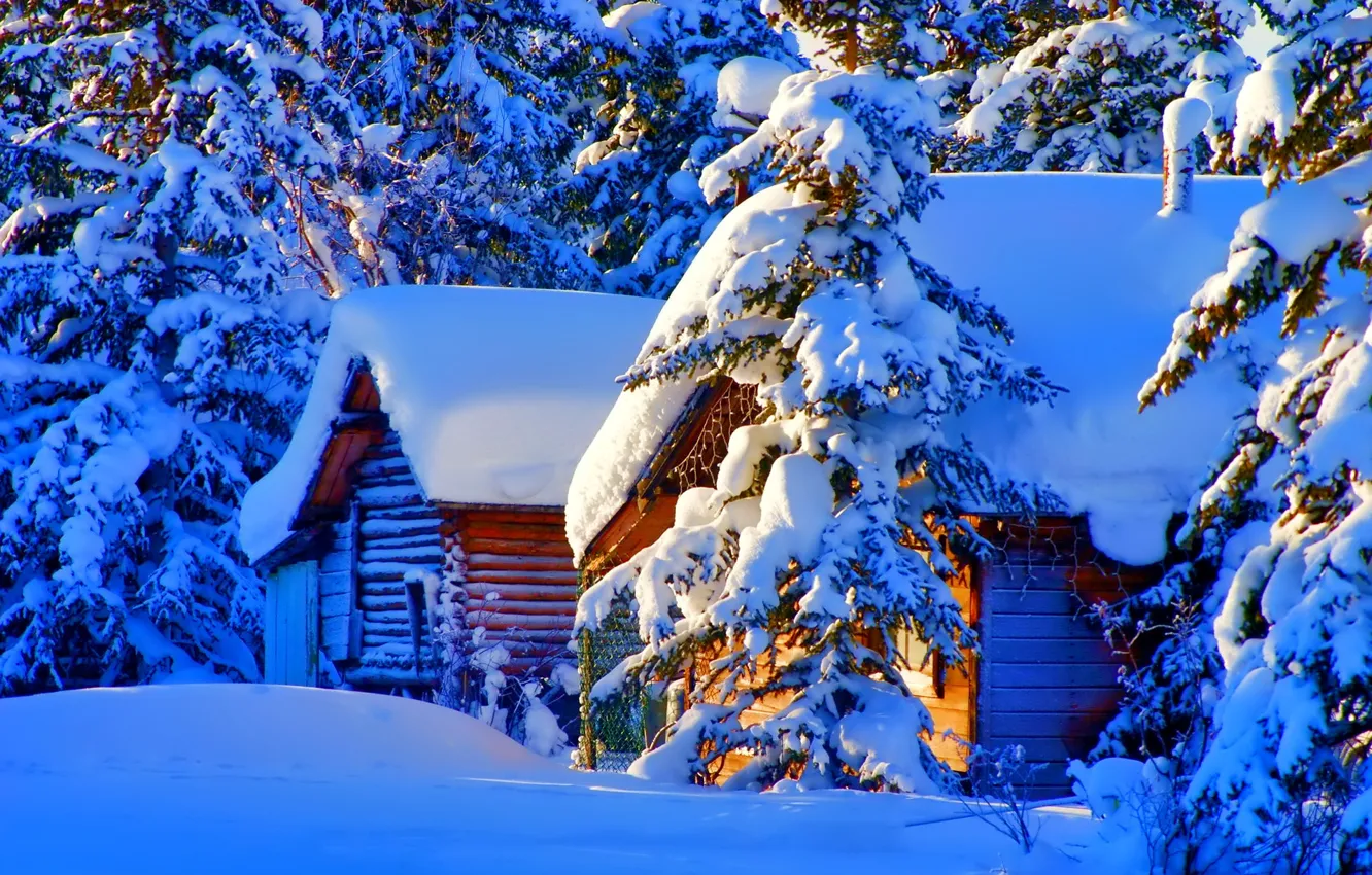 Фото обои forest, trees, landscape, nature, winter, snow, houses, Firs