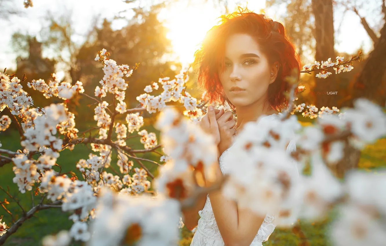 Фото обои взгляд, девушка, ветки, лицо, весна, цветение, цветки, Alexander Drobkov-Light