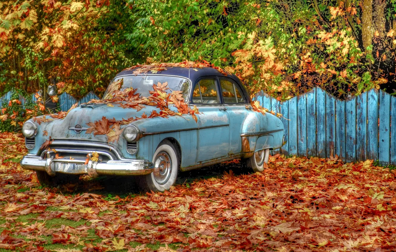 Фото обои осень, деревья, ретро, листва, забор, HDR, автомобиль, «Oldsmobile»