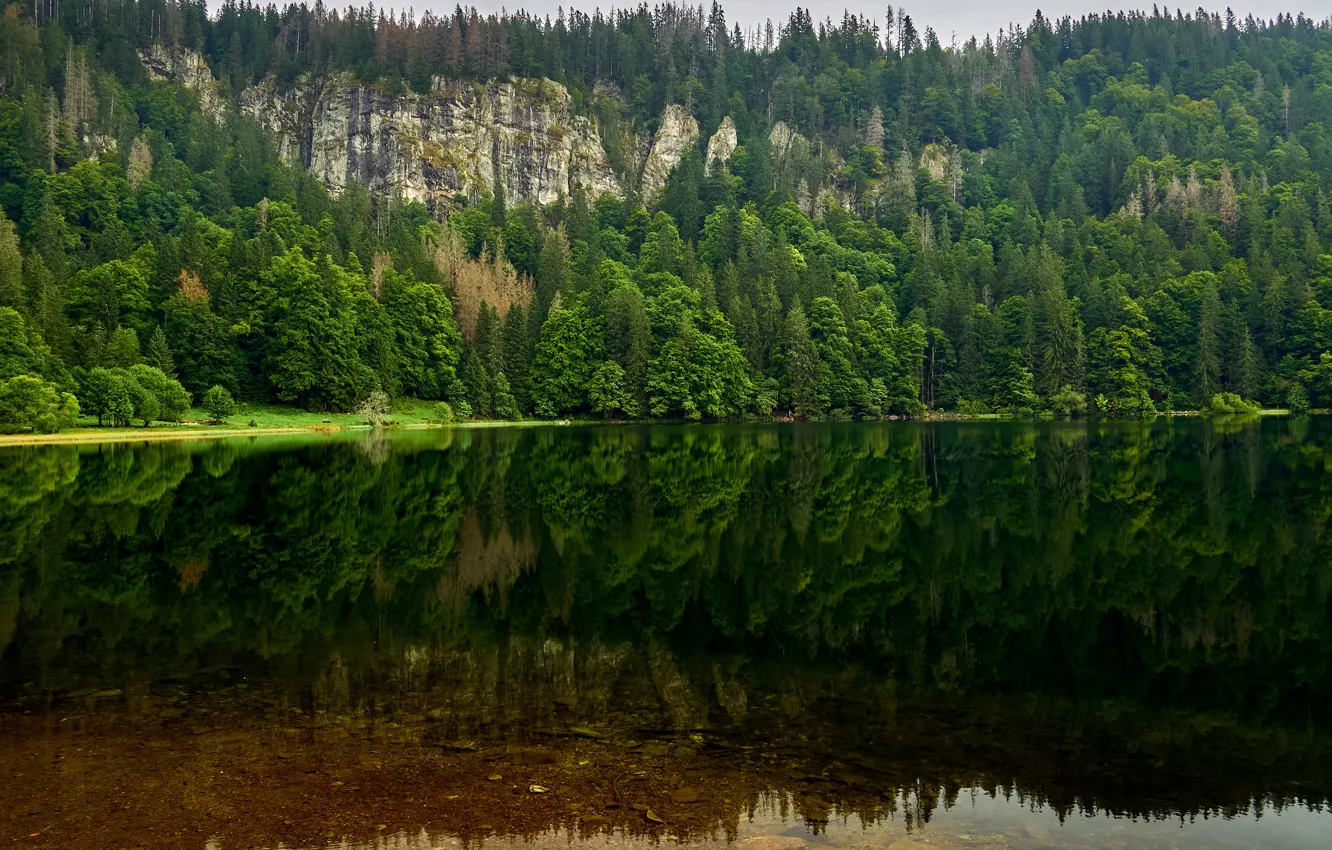Фото обои зелень, лес, лето, вода, деревья, горы, озеро, отражение