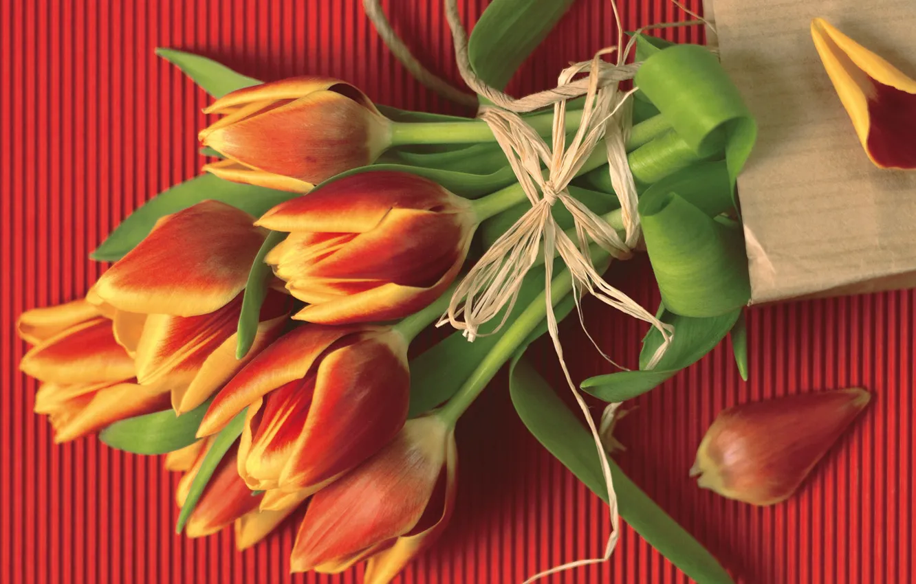 Фото обои красный, букет, веревка, лепестки, тюльпаны