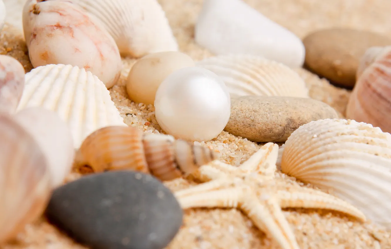 Фото обои песок, пляж, звезда, ракушки, камешки, жемчужина